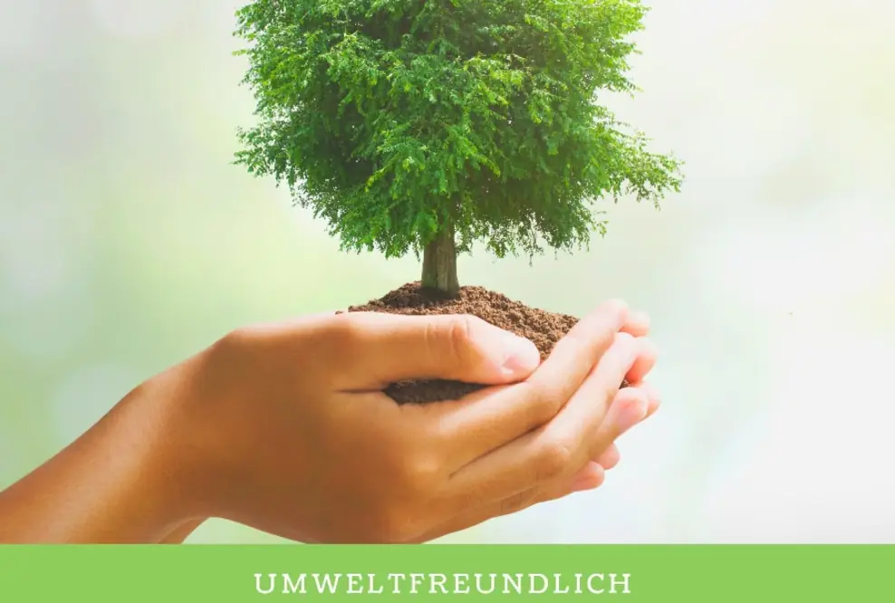 Umweltfreundlich fahren und dabei die Kosten senken...