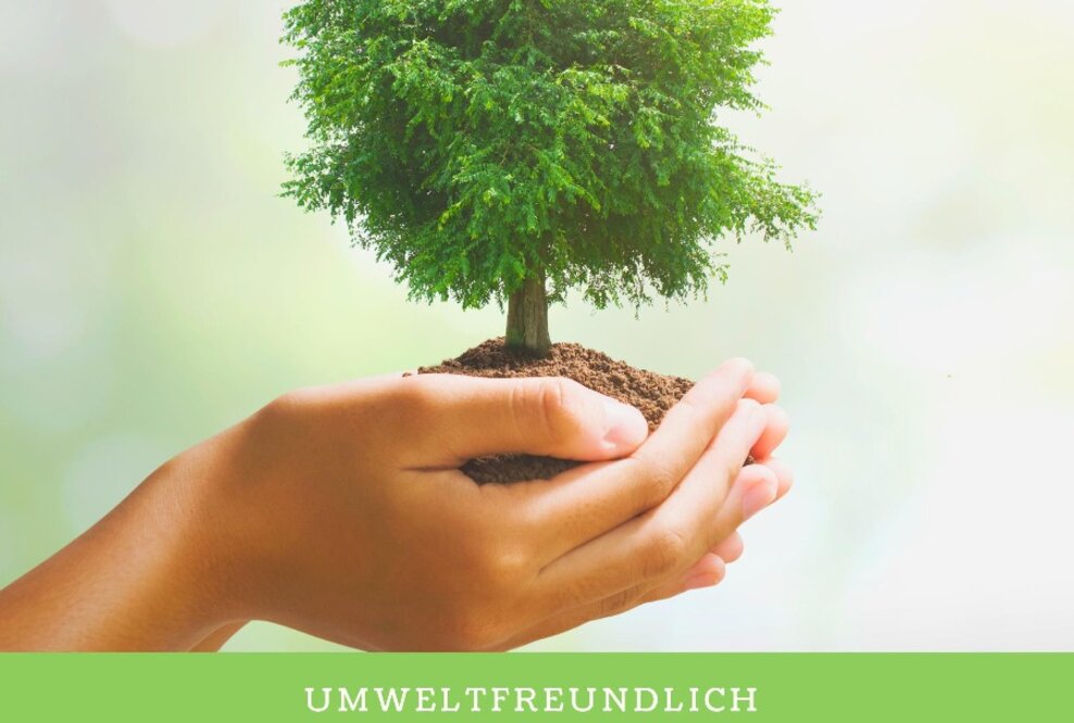 Umweltfreundlich fahren und dabei die Kosten senken...