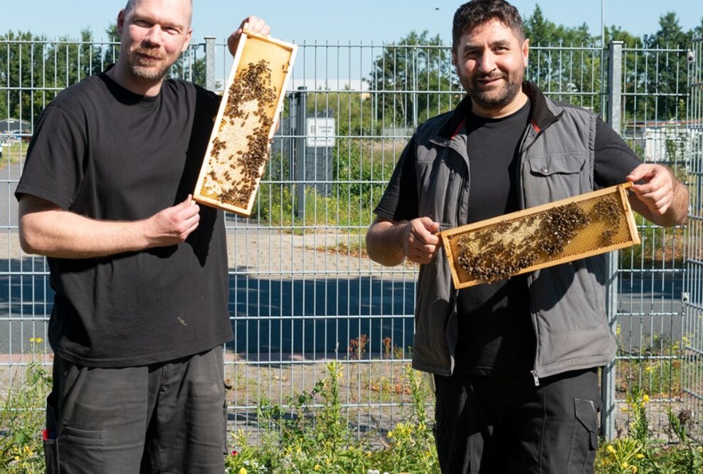Ein Zuhause für 50.000 Mitarbeiter*innen: terminic GmbH verlängert Bienenpatenschaft um ein weiteres Jahr