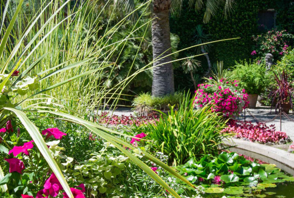 Gartenfantasien am Lago Maggiore – und Tee