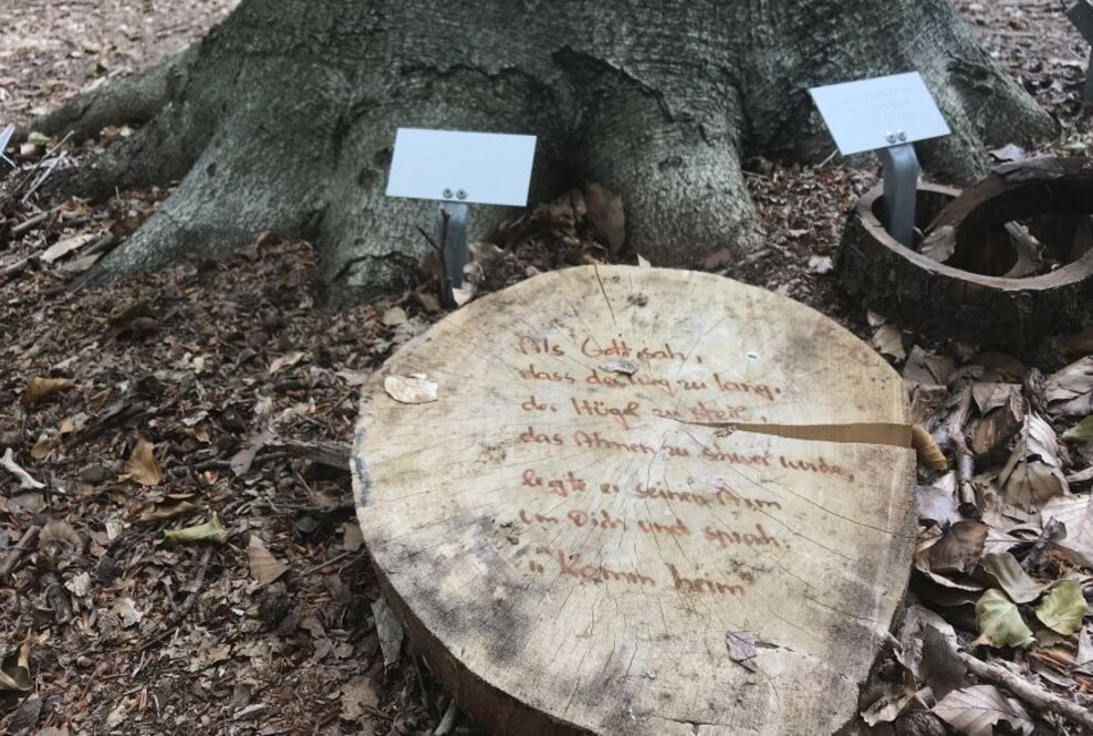 Warnung vor Gedenkstücken im Bestattungswald: Nicht nur wegen Waldbrandgefahr auf Kerzen verzichten