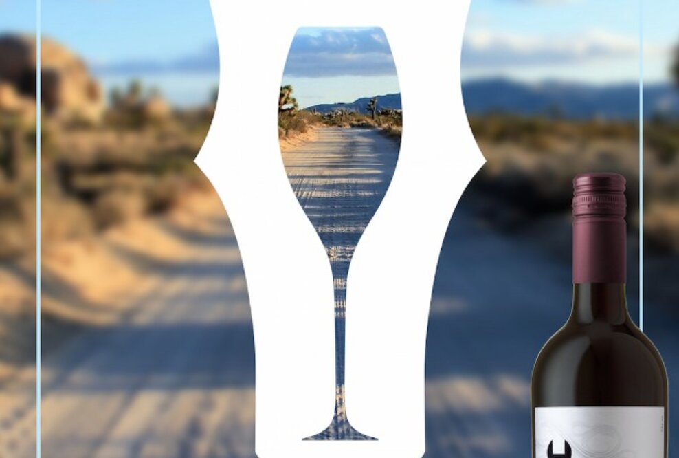 Follow your own Path: Wie vier Bloggerinnen auch in Corona-Zeiten ihre Ziele nicht aus den Augen verlieren