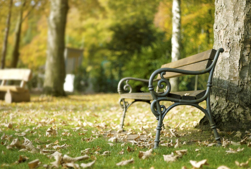 Tag des Friedhofs: Auch Friedhöfe müssen sich gesellschaftlicher Realität anpassen