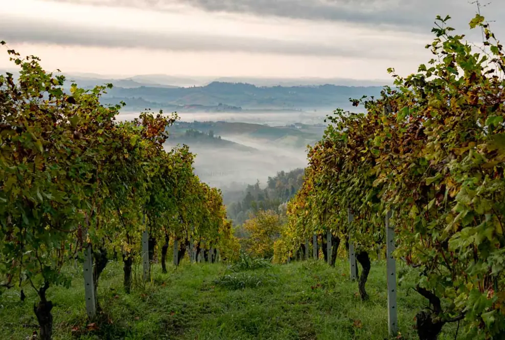 Die Provinz Cuneo im norditalienischen Piemont ist für sicheren Tourismus gewappnet