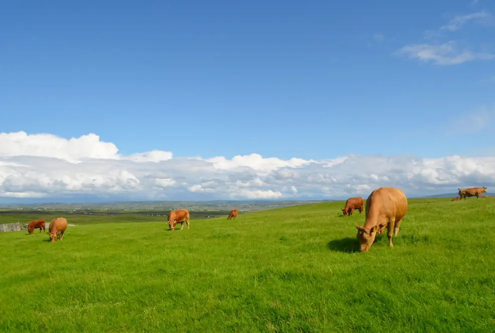 Landwirtschaft 4.0 – Präzision sichert die nachhaltige Lebensmittelproduktion