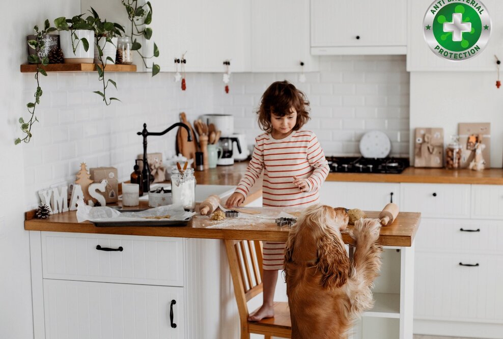 Neues antibakterielles Lacksystem – permanent wirksam: Acryl 10:1 Mehrschichtsystem mit höchster Beständigkeit