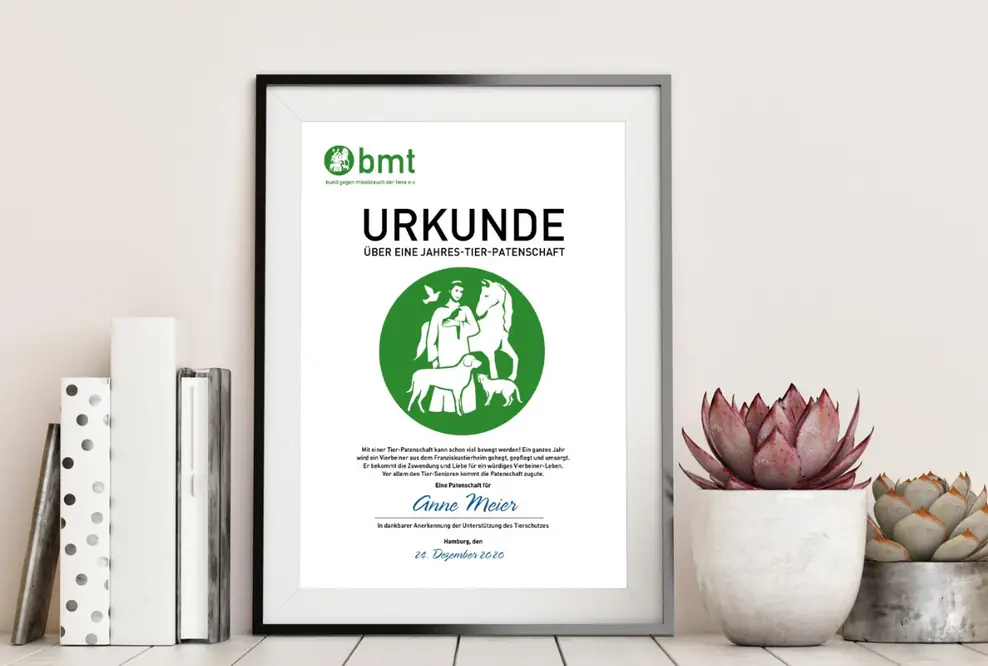 „Tierliebe schenken“ – Patenschaften für das Franziskus-Tierheim