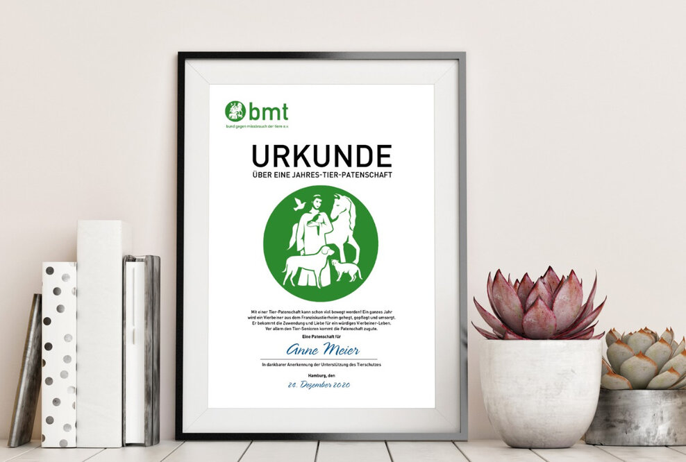 „Tierliebe schenken“ – Patenschaften für das Franziskus-Tierheim