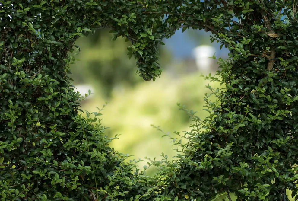 Green Finance mit Fokus auf Nachhaltigkeit – Eine Erfolgsstory
