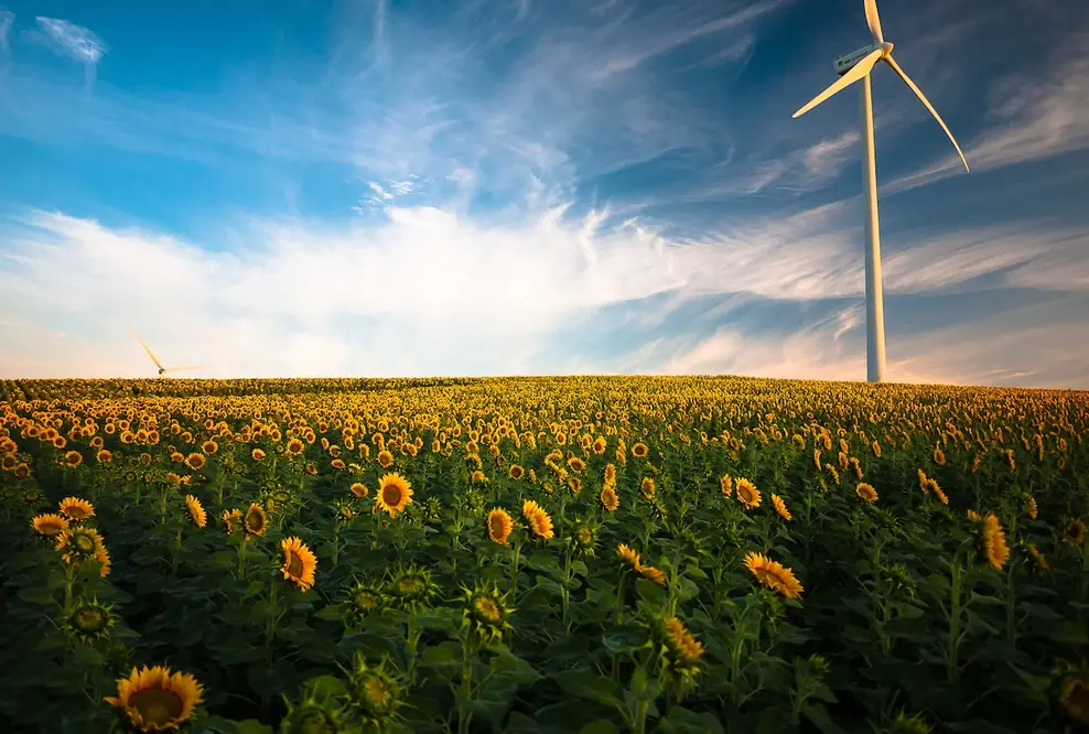 Grüne Zinsen mit Inflationsschutz: RE15 EnergieZins 2025 neu auf innovestment.eu | Anlage ab 1.000 Euro
