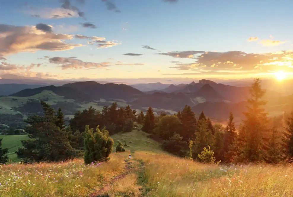 Raus aus dem „Homeoffice“ und rein in den Arbeitsraum Natur - Eine gesunde Alternative: Der Arbeitsraum Natur