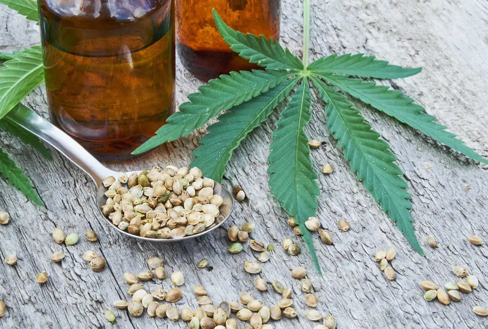 CBD-, Hanf- oder Hasch-Öl? Was ist was?