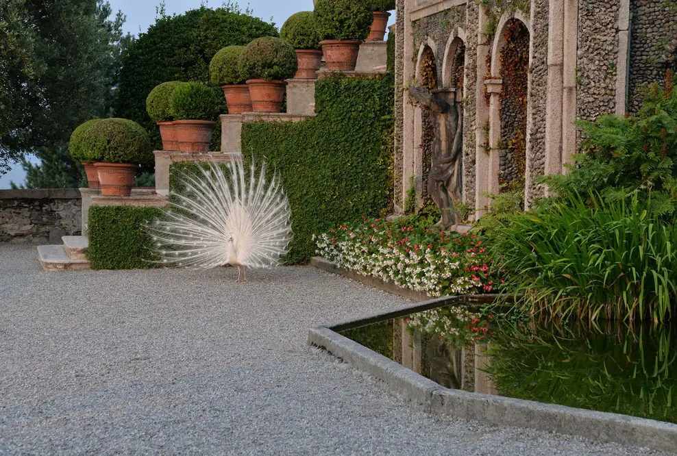 Gartenkunstwerke und unberührte Wildnis