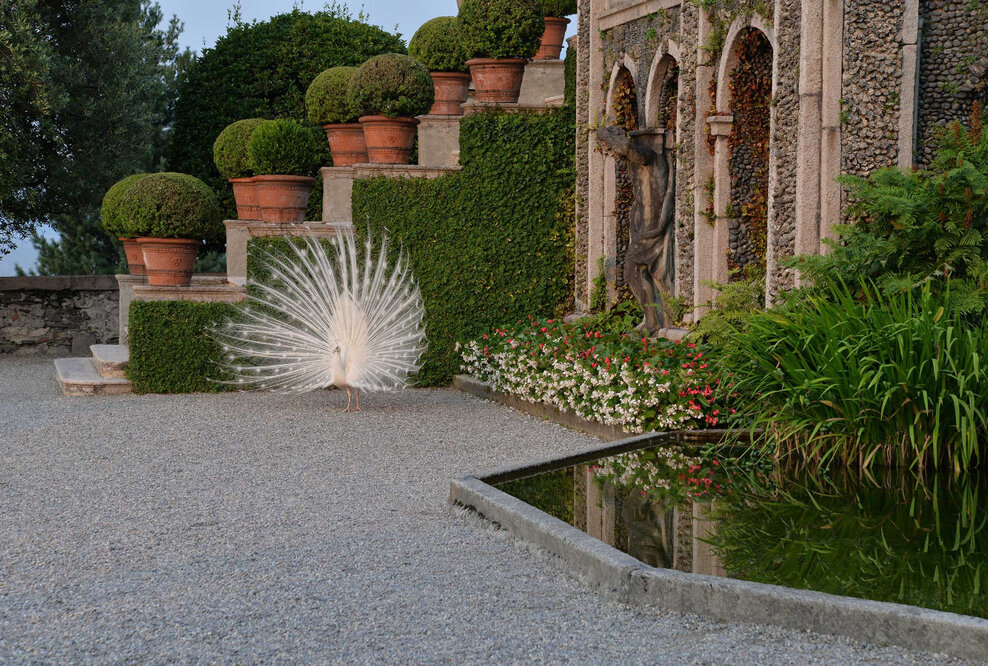 Gartenkunstwerke und unberührte Wildnis