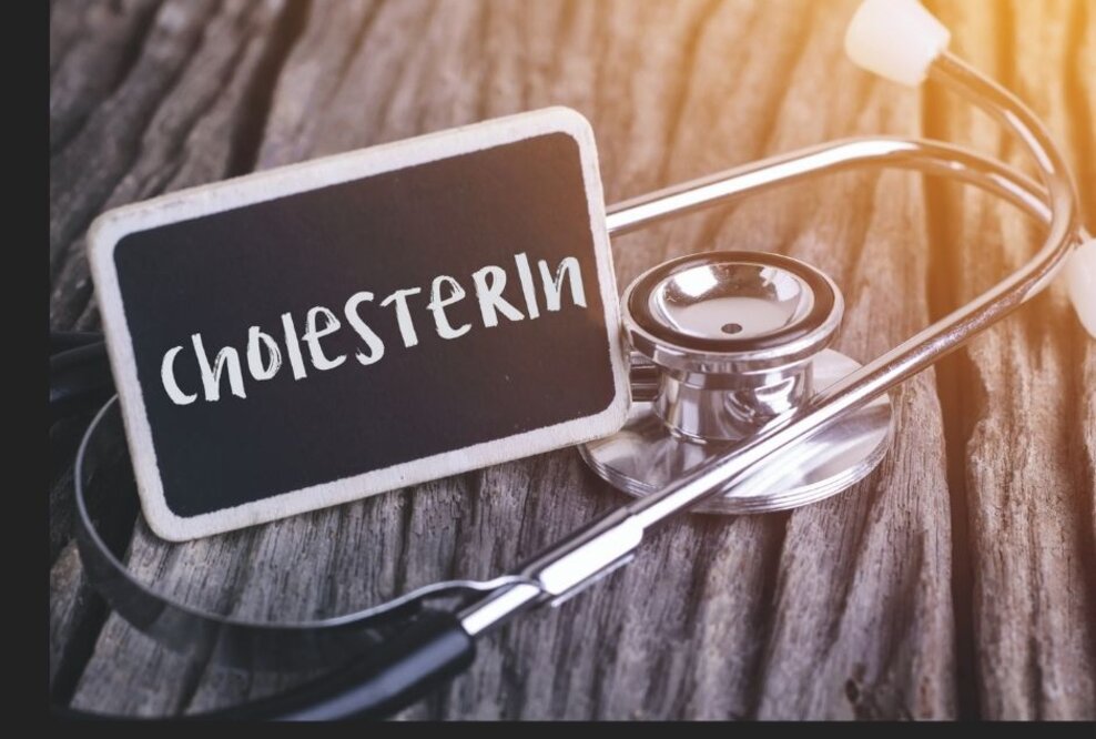 Cholesterin – wichtig für den ganzen Körper!