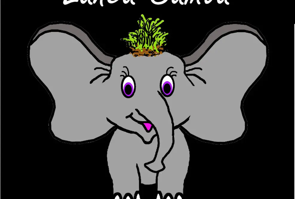 Lanea Samoa - ein kleiner Elefant - stellt die Welt auf den Kopf