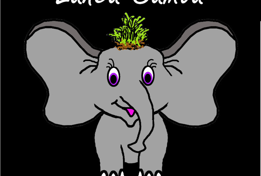 Lanea Samoa - ein kleiner Elefant - stellt die Welt auf den Kopf