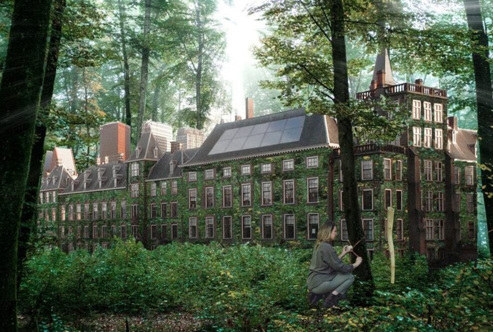 Social Art Award 2021 - Winner Announcement