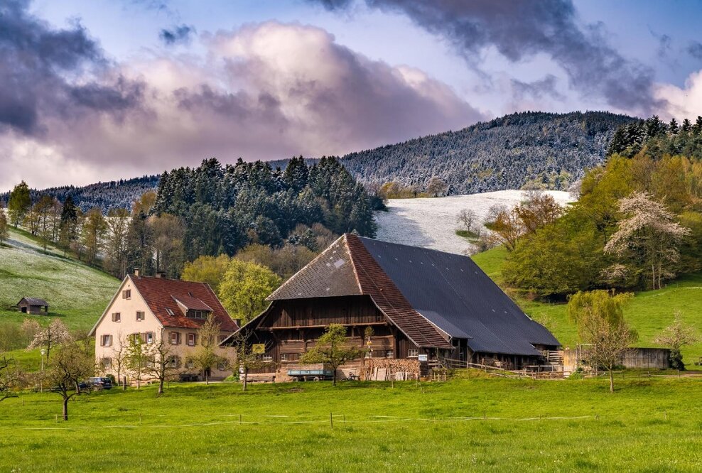 Bauwerk Talk: Typisch Schwarzwald - Regionale Baustoffe. Regionale Bauweisen