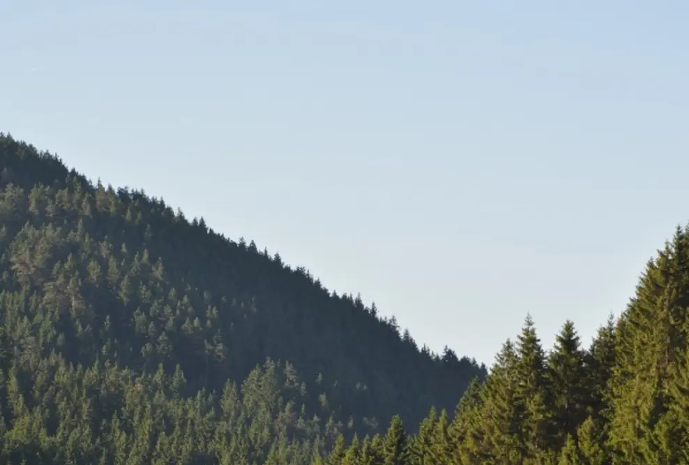 Gelungener Start für neu gegründetes Kompetenzzentrum „Bauwerk Schwarzwald e.V.“