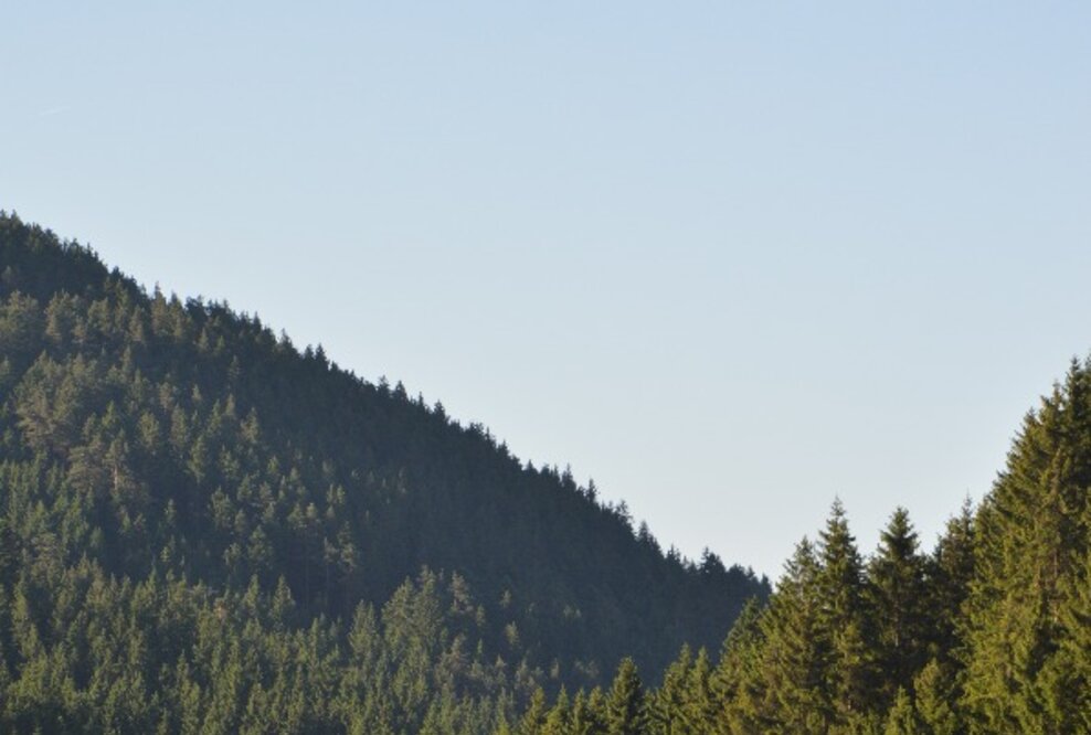 Gelungener Start für neu gegründetes Kompetenzzentrum „Bauwerk Schwarzwald e.V.“