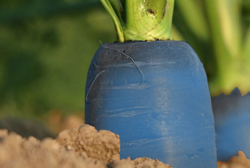 PensionCapital startet zweite Studie zu betrieblichen Benefits