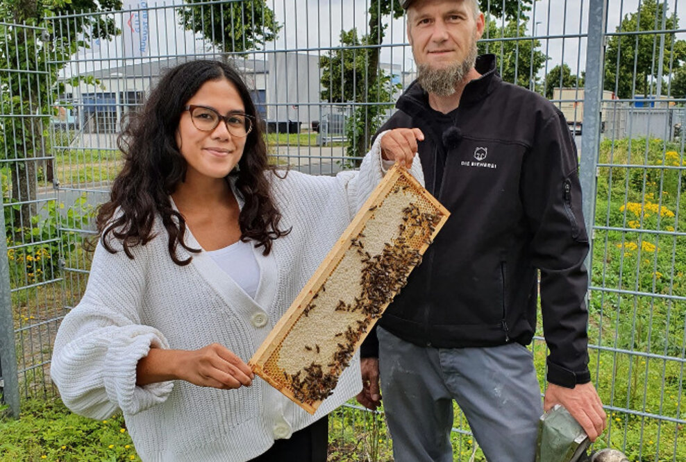 Ein Herz für Bienen – terminic GmbH verlängert Bienenpatenschaft um weiteres Jahr