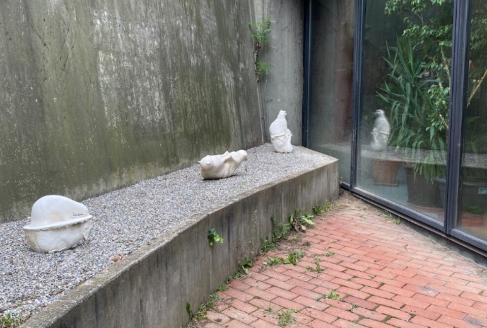 Neueröffnung: Kunst auf der Liegewiese | Faulerbad, Freiburg