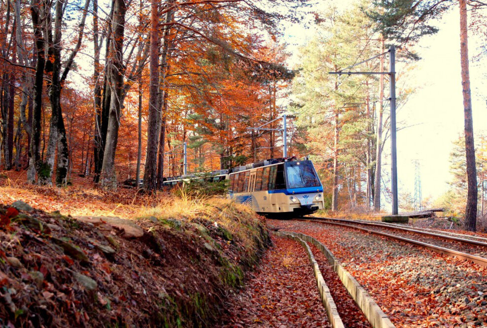 So feiert man den Herbst am Lago Maggiore