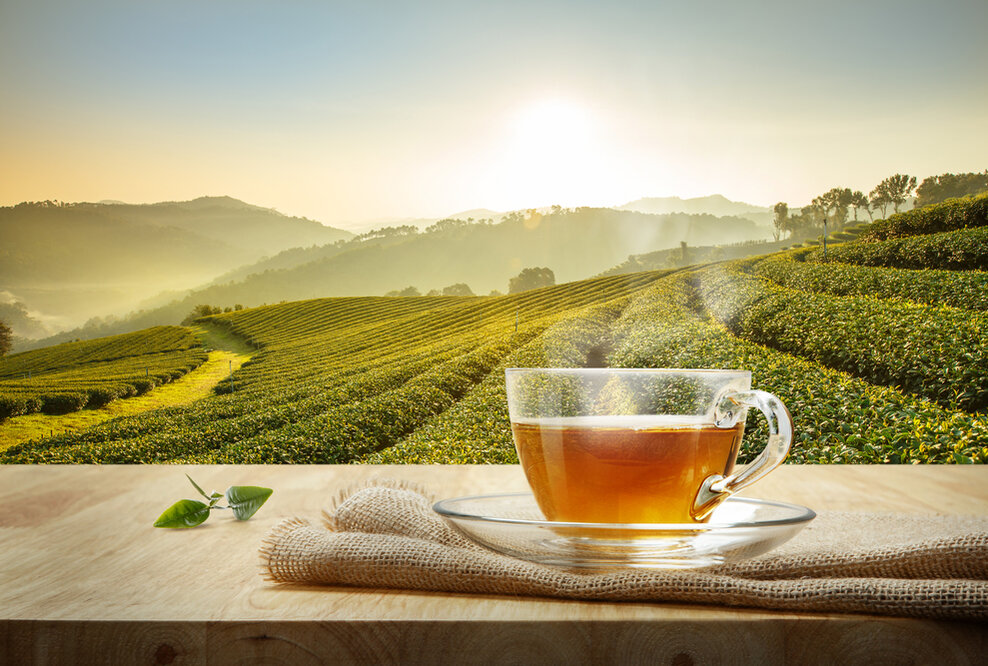 Wir feiern die Woche der 1000 Tees – feier´ mit uns