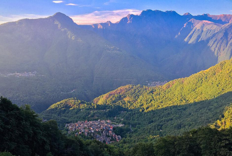 Katzen-Kunst und ein verlorener Clan