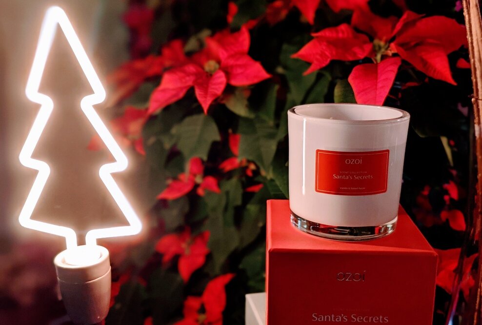 OZOÍ im Berliner Pop-up-Store „Meine Weihnachtswelt“ des TV-Floristmeisters Björn Kroner