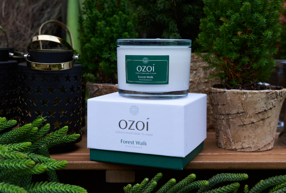 Ab in den Wald dank der veganen Duftkerze "Forest Walk" von OZOÍ