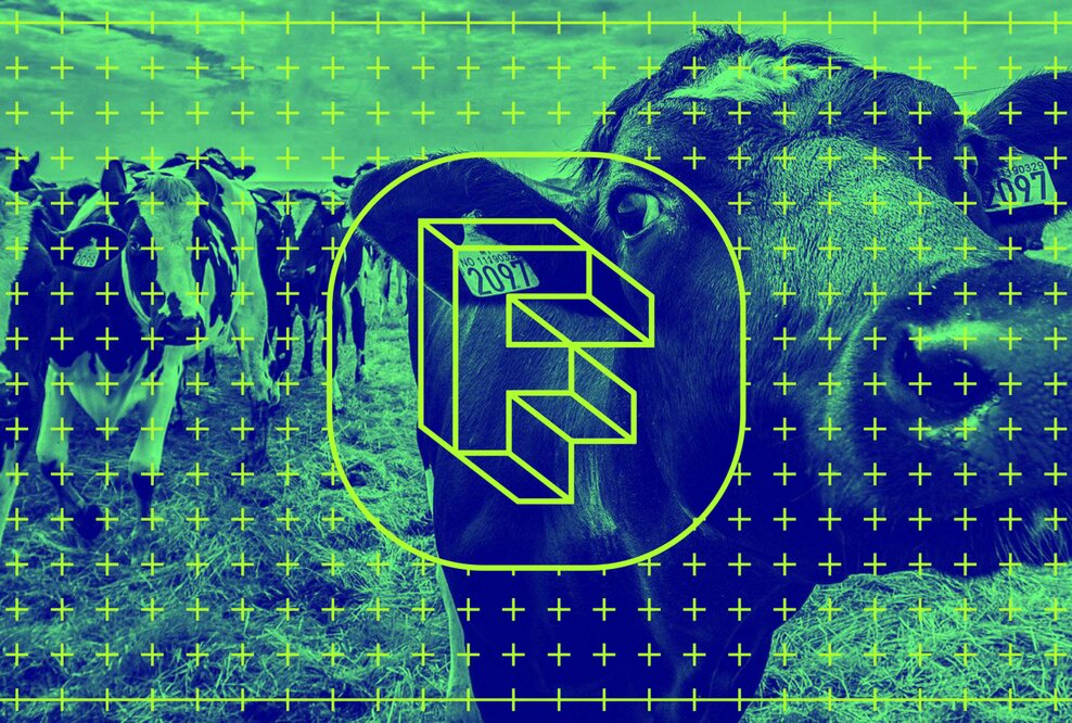 Fleischkonsum in Land- und Stadtregionen