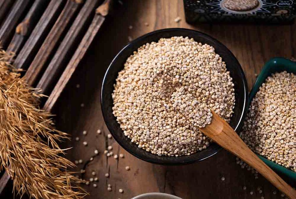 Startup für Bio Hybridfleischprodukt: Erstmals Geflügel Quinoa Meatballs für deutschen Markt entwickelt