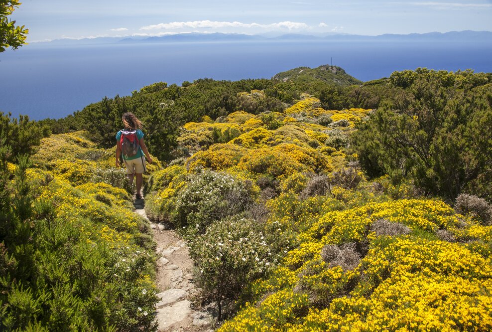 Wandern am Kap von Sant'Andrea, Insel Elba