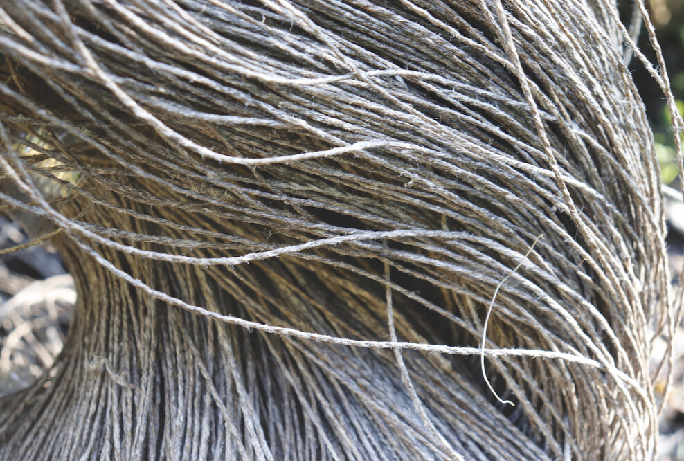 Ausstellung: Susanne Allgaier - ZUFALL | KONKRET Wellenlinien