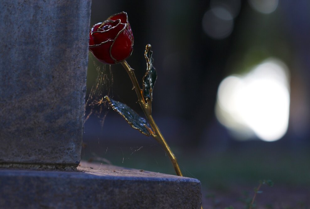 Grabstein mit einer Rose