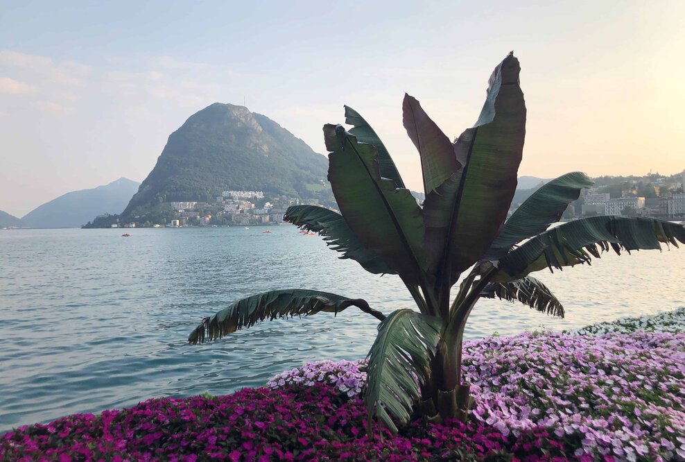 Lugano