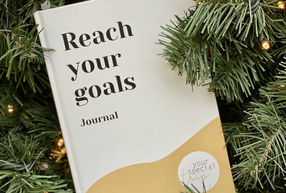 Neues Journal Reach your goals von Sabine Peavy