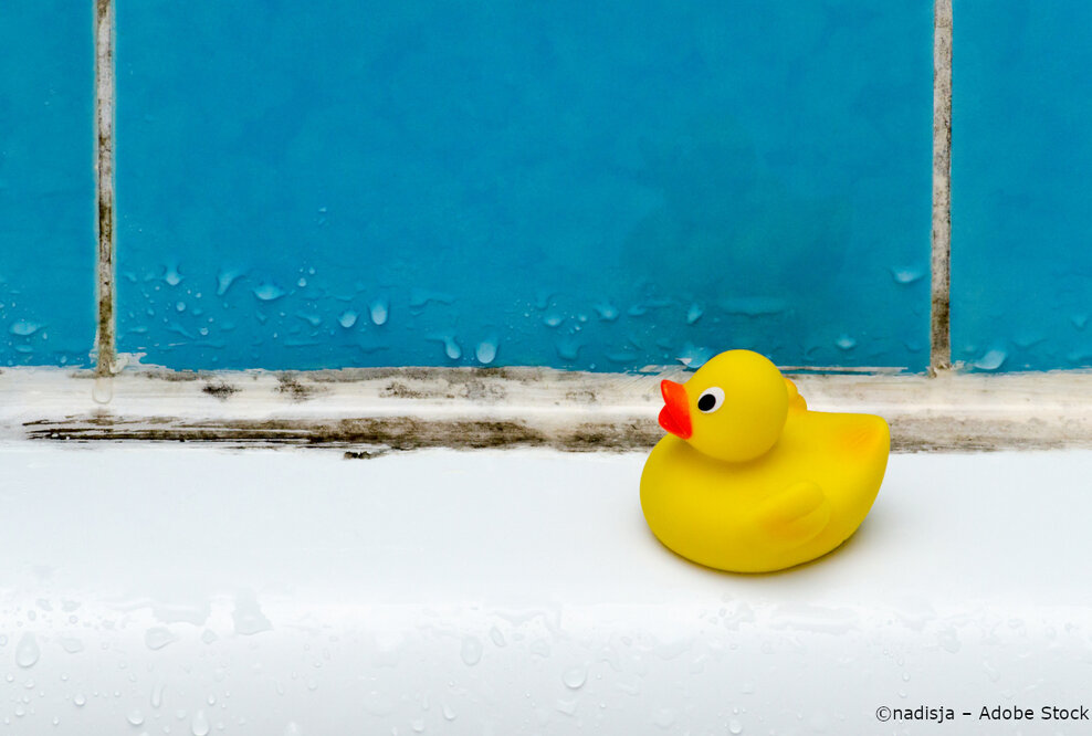 Badlüfter: Kleines Teil für volle Abluft-Power zur Schimmelprävention