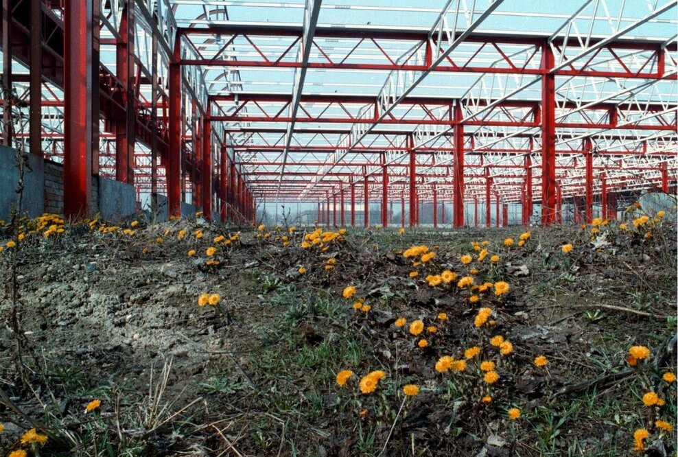 Audi Hungaria in 1993