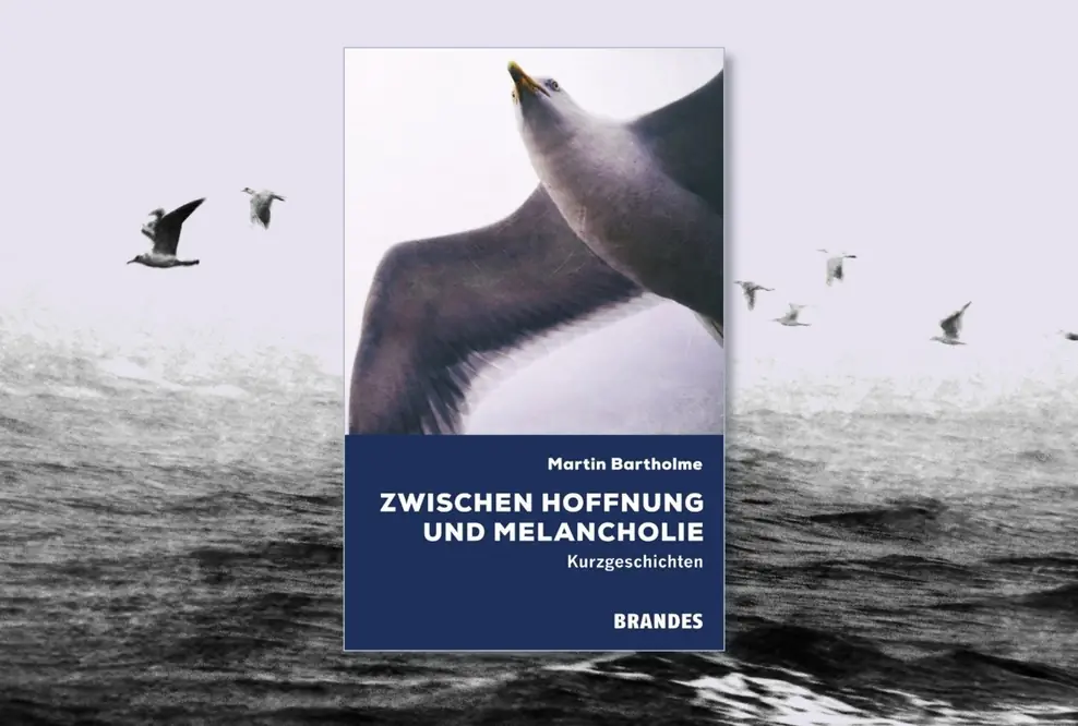Buchcover "Zwischen Hoffnung und Melancholie" von Martin Bartholme mit fliegenden Möwen im Hintergrund