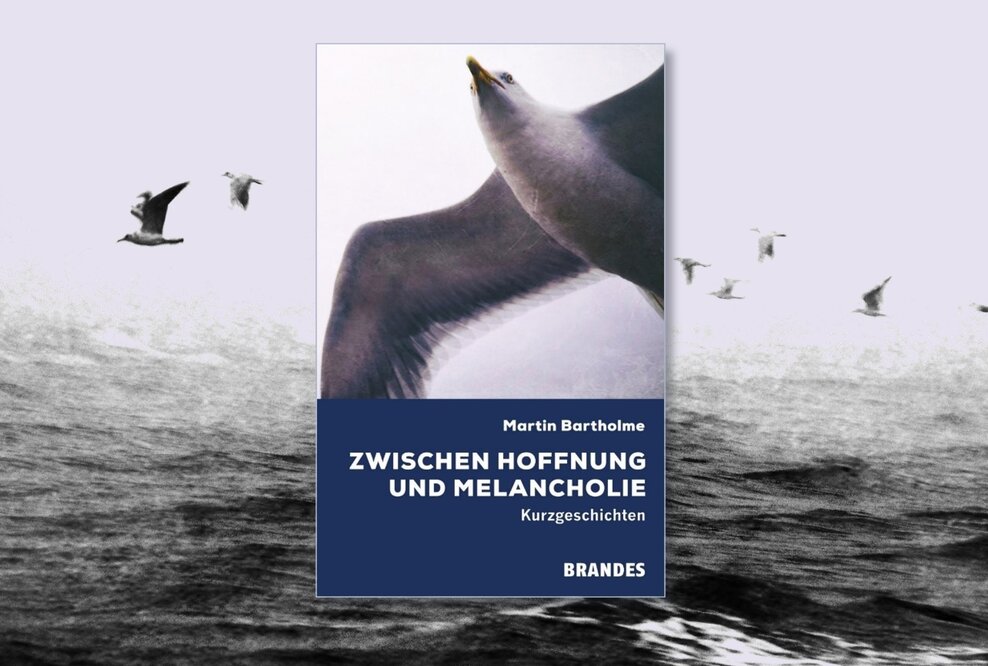 Buchcover "Zwischen Hoffnung und Melancholie" von Martin Bartholme mit fliegenden Möwen im Hintergrund