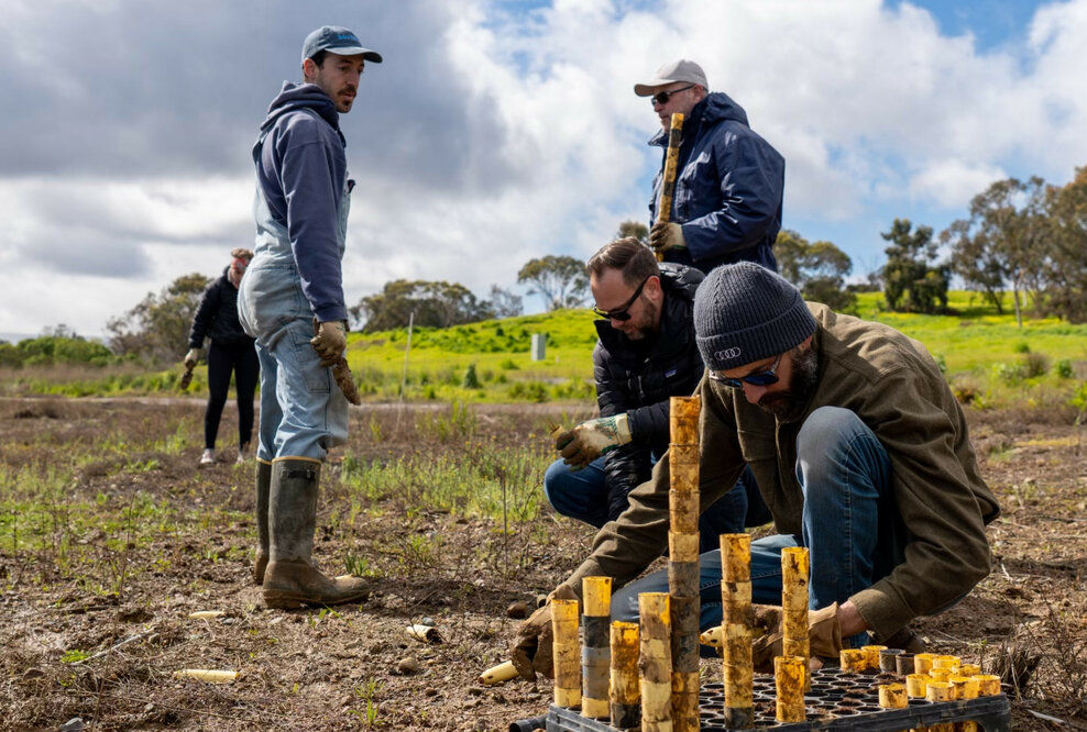 Audi Stiftung für Umwelt unterstützt Küstensanierung in den USA