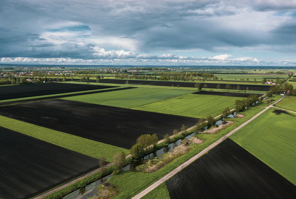 Moorschutz mittels Klimazertifikaten Die von der Audi Stiftung für Umwelt geförderte Machbarkeitsstudie „CO2-regio“ hat untersucht, wie sich Maßnahmen zur Wiedervernässung in Bayerns größtem Niedermoor Donaumoos mit den Bedürfnissen ortsansässiger Landwirtschaftsbetriebe vereinbaren ließen.