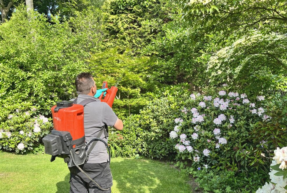 Dank des Akku-Sprühgebläses spart der Gärtnermeister spart deutlich an Kosten und Zeit.