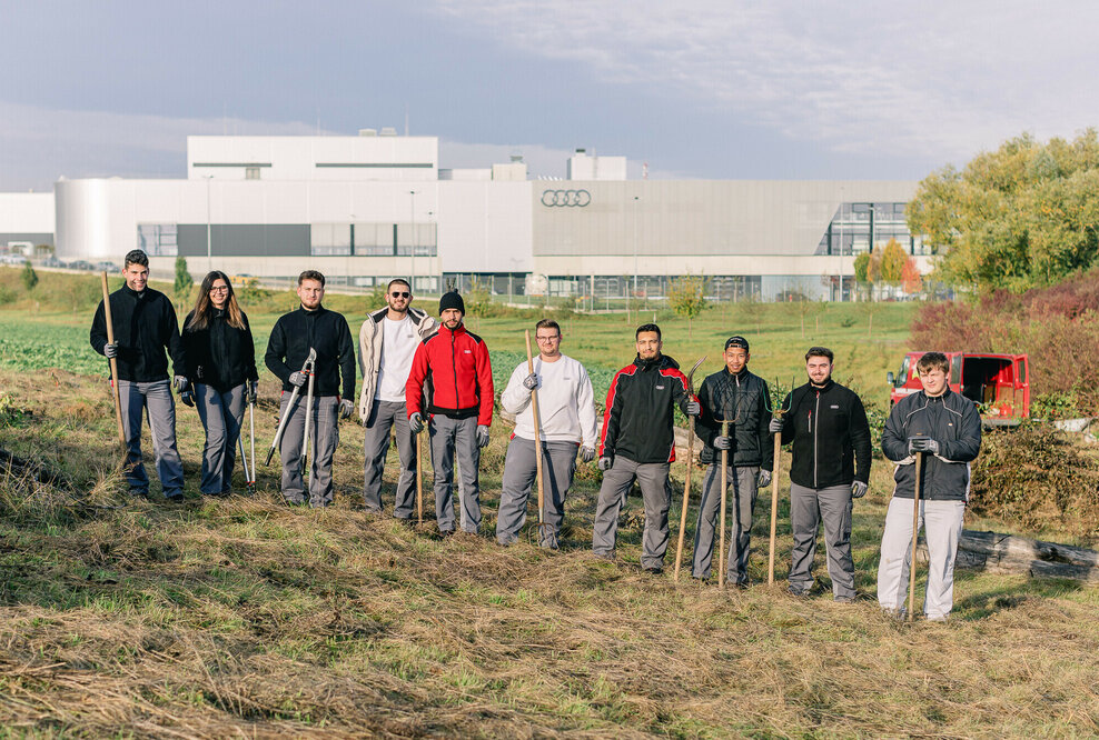 Neckarsulmer Auszubildende helfen, für Zauneidechsen einen geeigneten Lebensraum in den Böllinger Höfen zu schaffen.