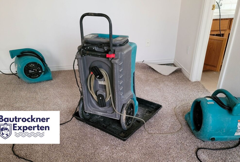 Bautrockner-Experten