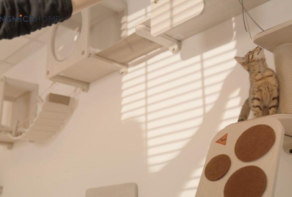 Mit der Clickat-Kollektion entstehen einzigartige und individuelle Katzen-Kletterwände.